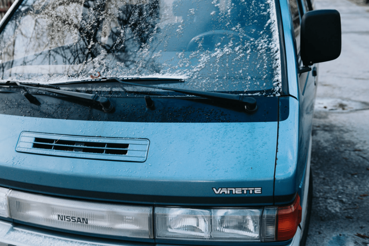 It’s Love Bug Season! How To Prepare Your Vehicle. Premier Auto